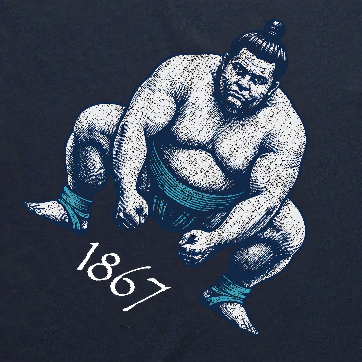 SUMO T | Unisex Graphic T-Shirt